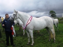 Grange Ruby Surf All Ireland Champion of 4 to 6 year old Mares